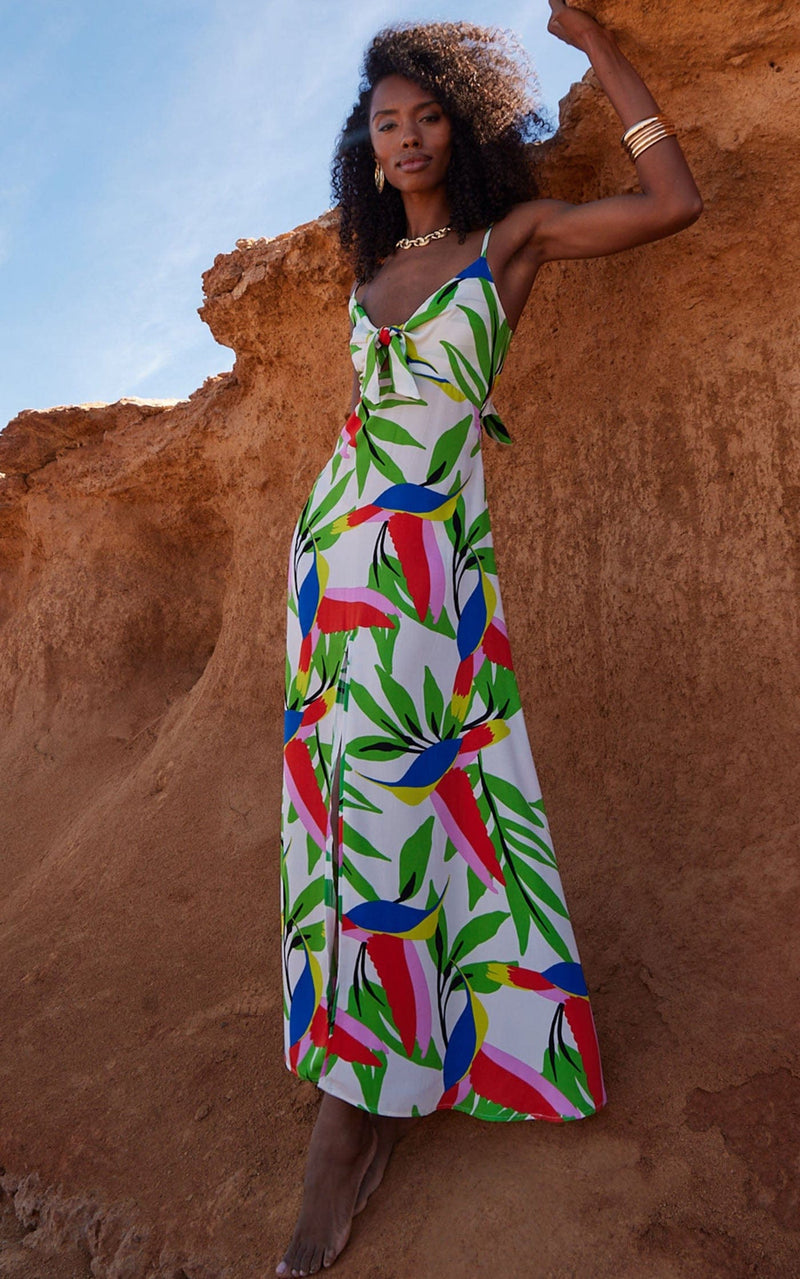 Blossom Dress in Humming Bird White