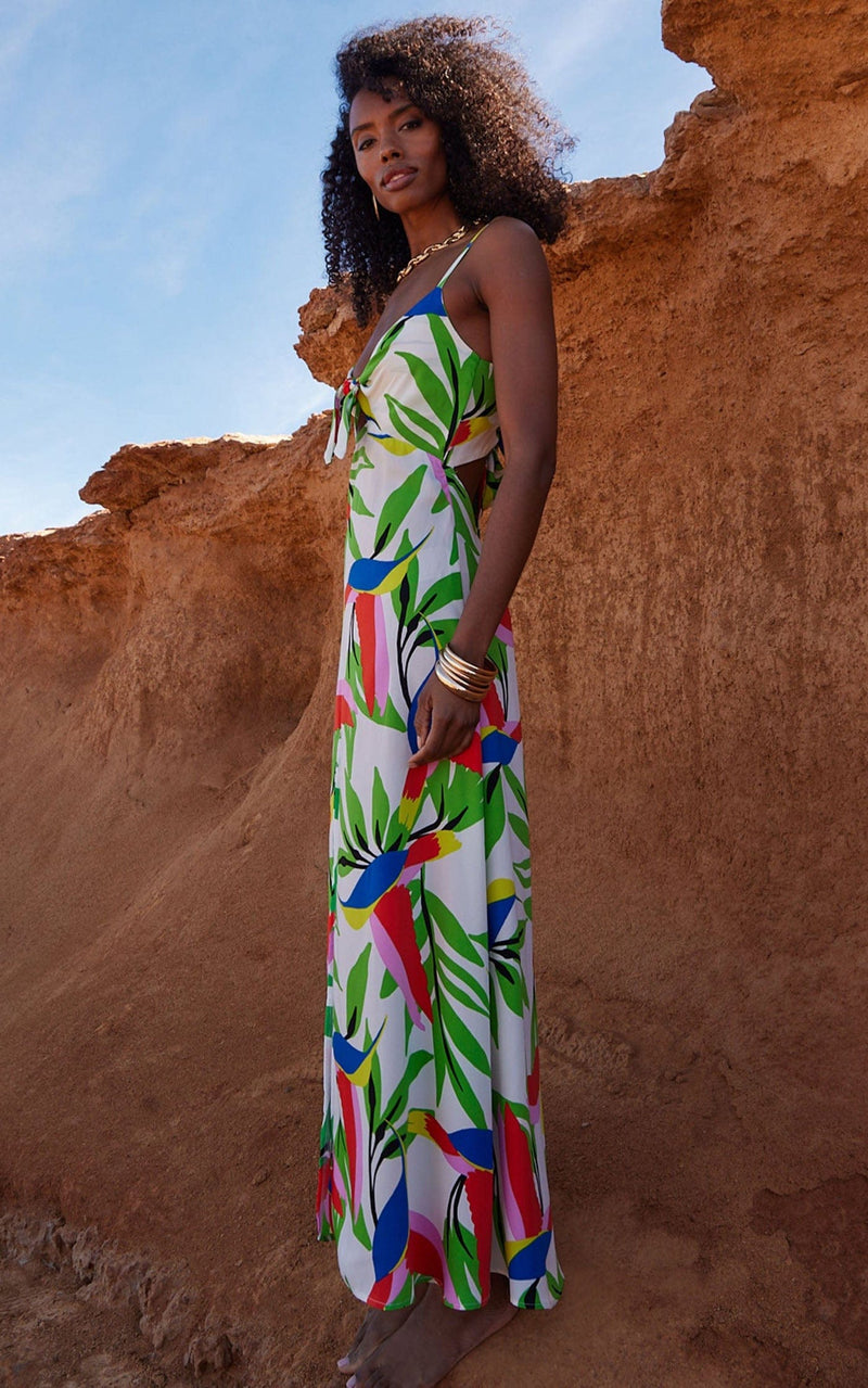 Blossom Dress in Humming Bird White