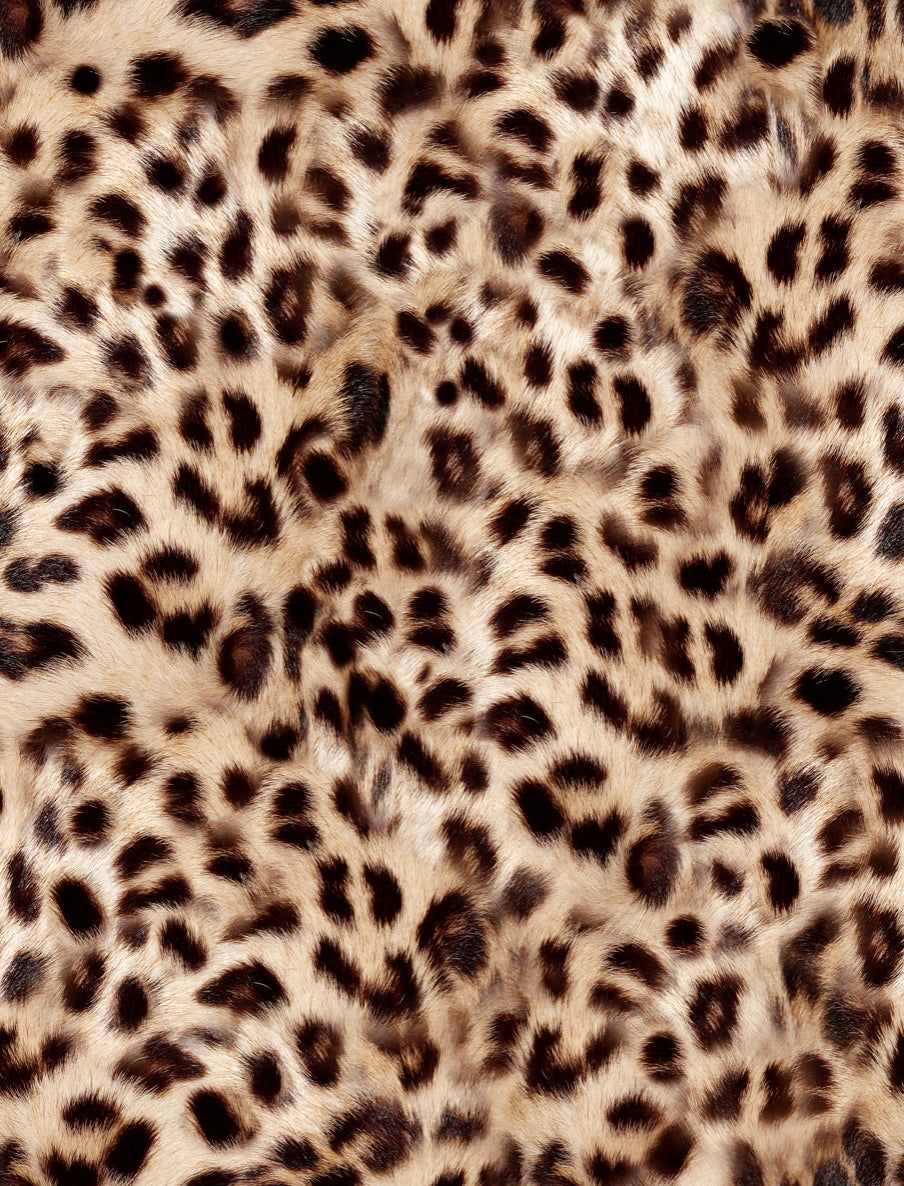 Leopard print 101: Dressing like Shania Twain