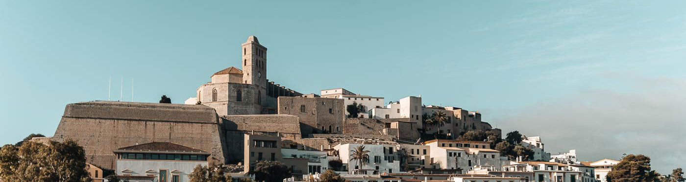 THE ICONIC DOVE DRESS