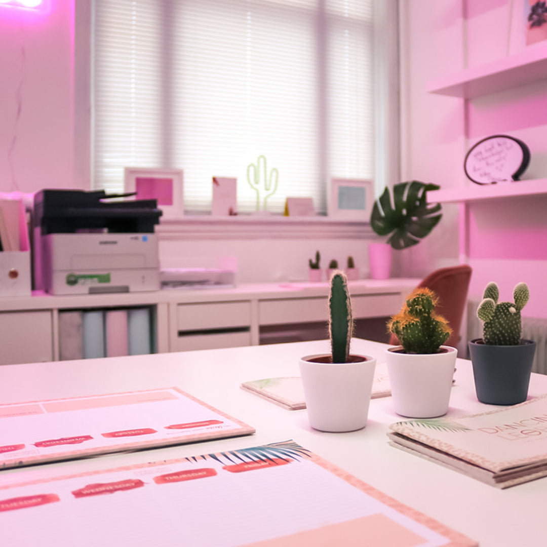 We're Hiring | Senior Paid Marketing Executive