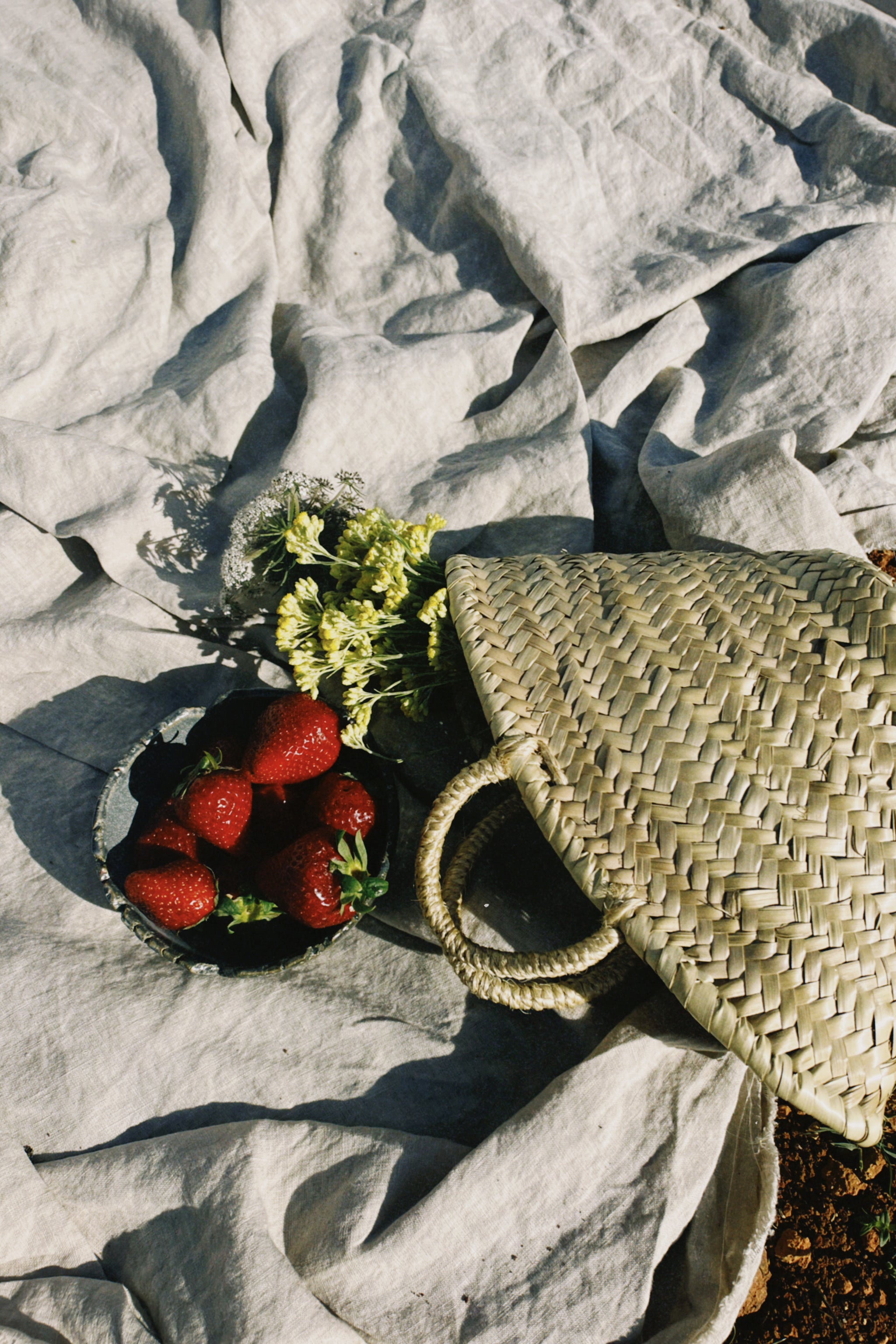 Introducing Our New Summer Viscose Collection