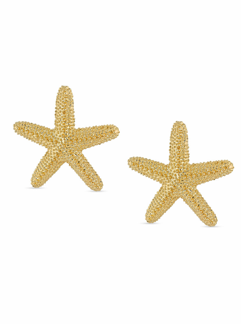 Starfish Earrings