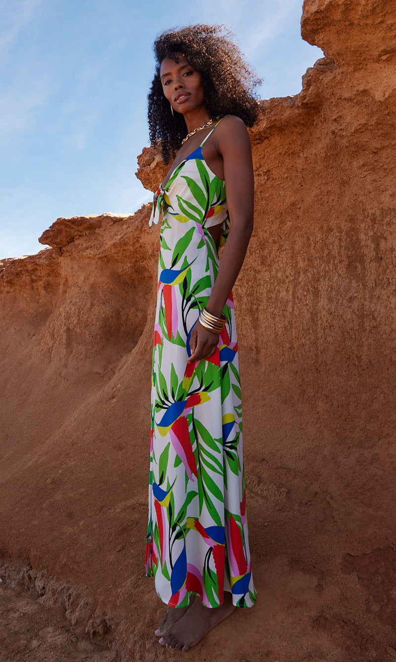 Bird maxi dress shop