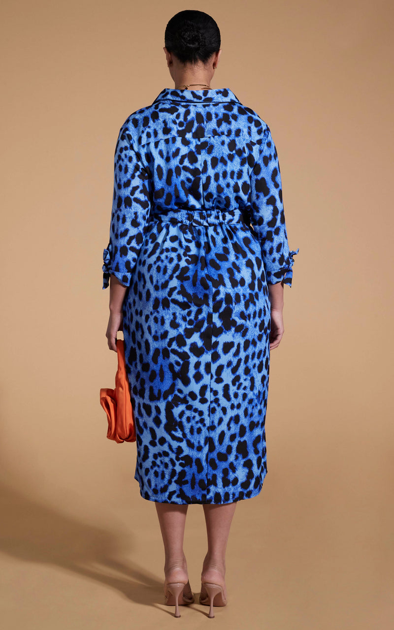 Dancing Leopard model wearing lva Midi Shirt Dress In Bright Blue Leopard facing away to reveal back details