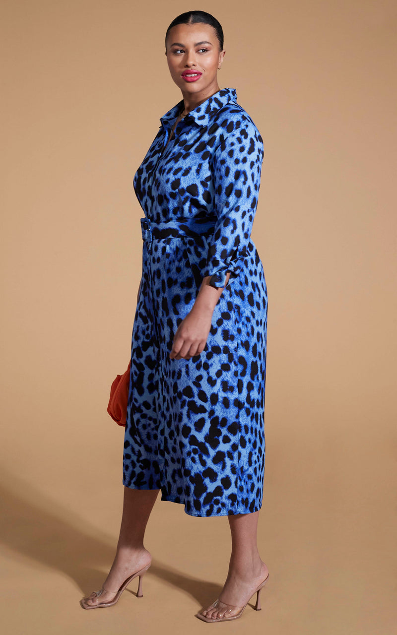Dancing Leopard model wearing lva Midi Shirt Dress In Bright Blue Leopard posed side on