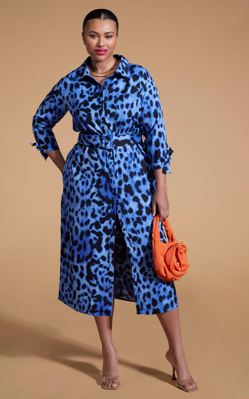 Dancing Leopard model wearing lva Midi Shirt Dress In Bright Blue Leopard posing with hand on hip holding orange bag