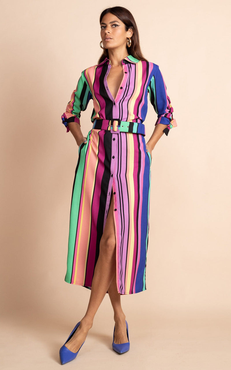 Alva Midi Shirt Dress in Stripe Dancing Leopard