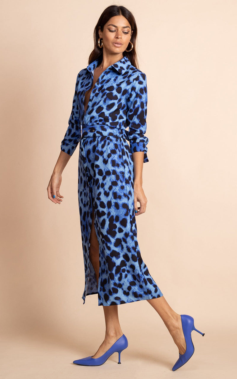 Dancing Leopard model standing sideways wearing Alva midi shirt dress in bright blue leopard with blue heels