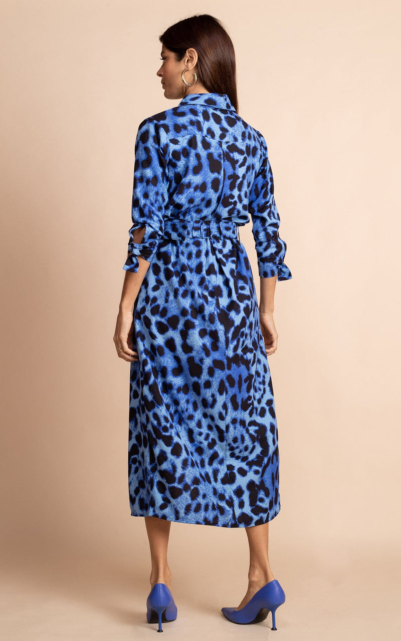 Dancing Leopard model standing backwards wearing Alva midi shirt dress in bright blue leopard with blue heels